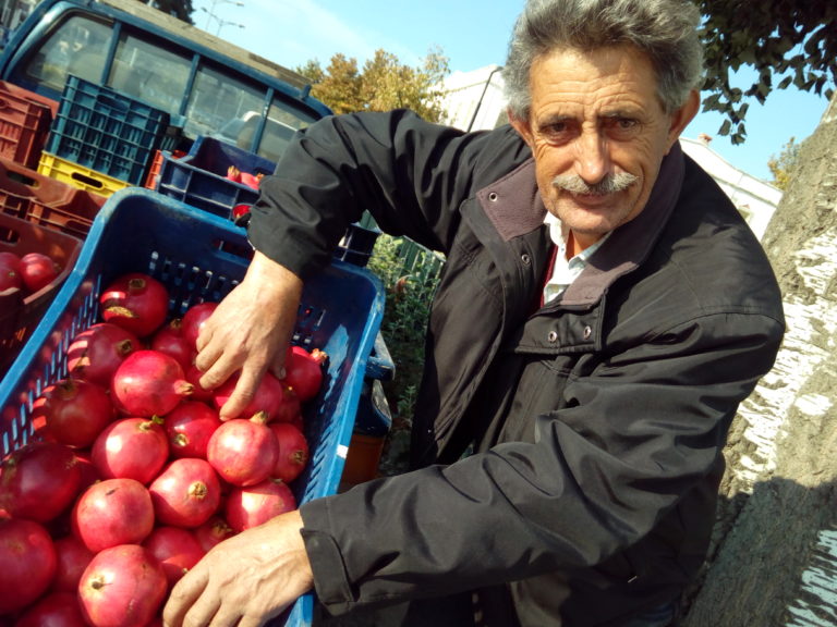 Κομοτηνή: Παραγωγή και διάθεση χωρίς μεσάζοντες