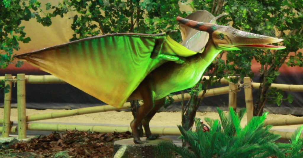 pteranodon3