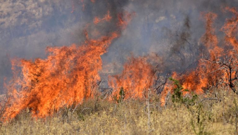 Φλώρινα: Μεγάλη φωτιά “εισήλθε” από την ΠΓΔΜ