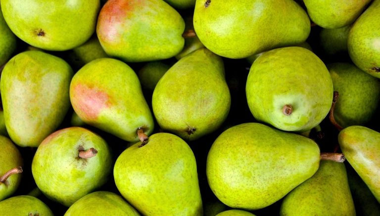 Δωρεάν διανομή αχλαδιών από τον Δήμο Χανίων