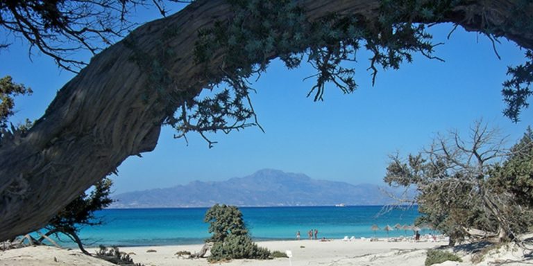 «Μπλόκο» από σκηνίτες σε επιχείρηση της Δασικής Υπηρεσίας