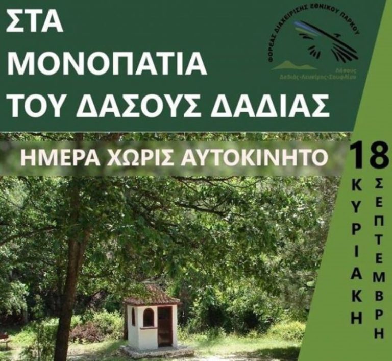 “Ημέρα χωρίς Αυτοκίνητο” με πεζοπορία στο Δάσος Δαδιάς