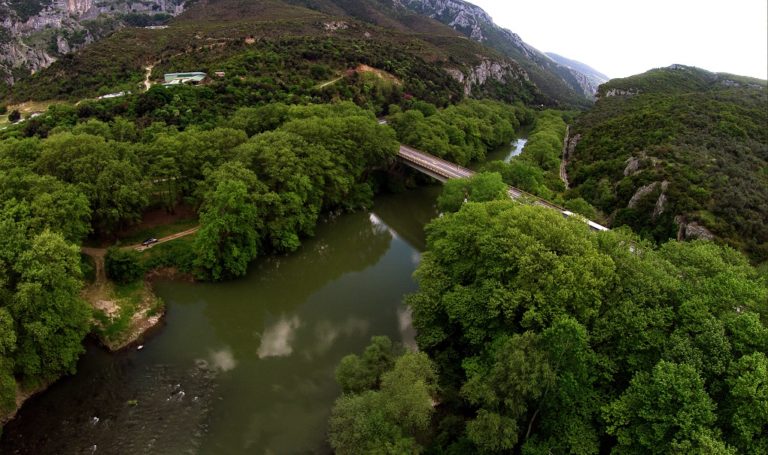 Ψηφίστηκε επί της αρχής στην επιτροπή το ν/σ για τους δασικούς συνεταιρισμούς