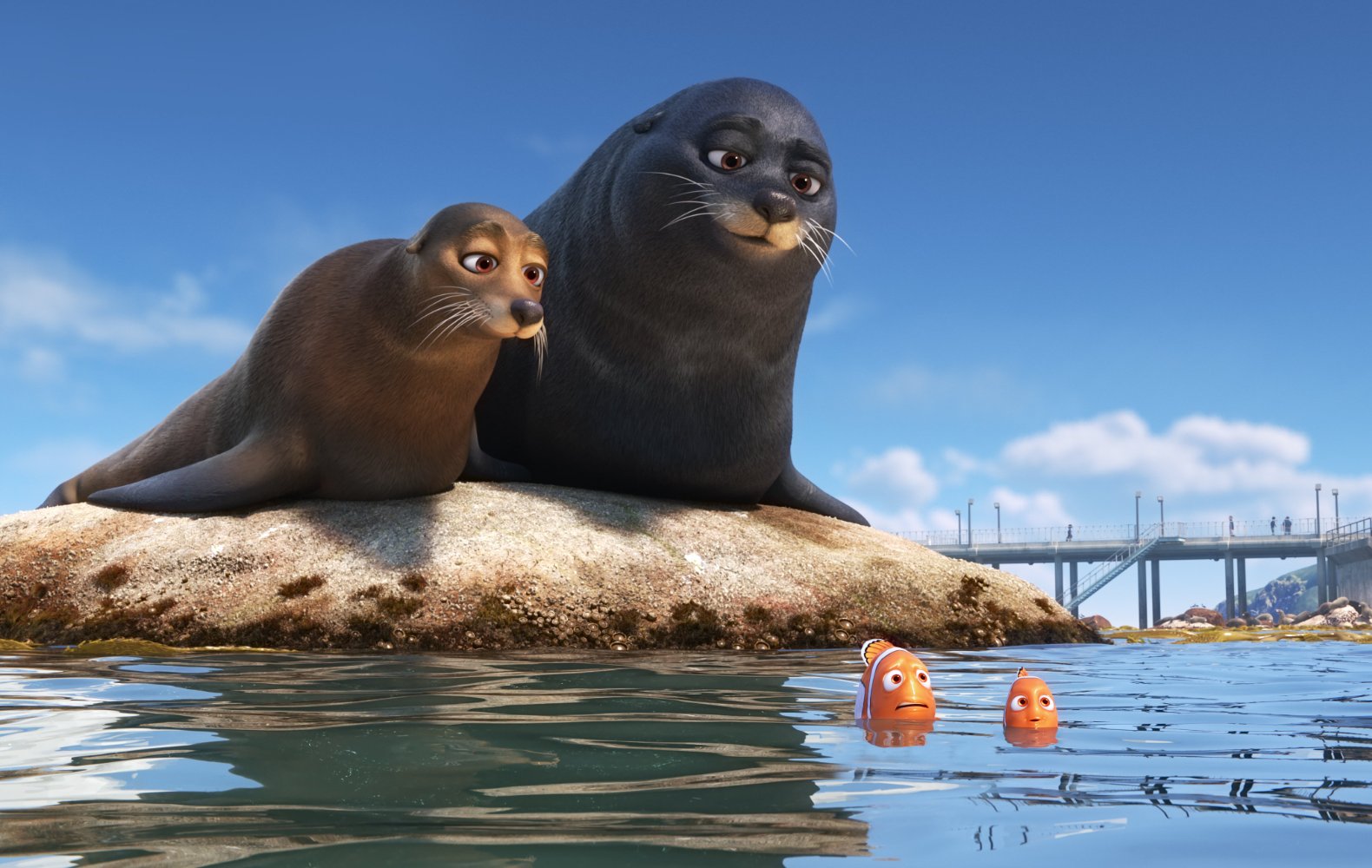 dori1