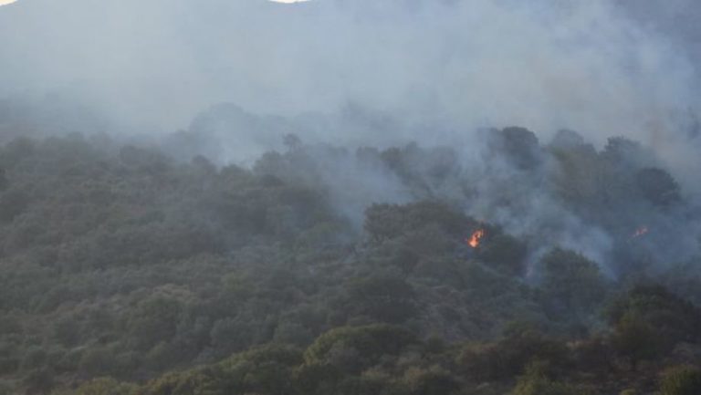 Χανιά: Δεύτερη πυρκαγιά στον Αερινό Κισσάμου