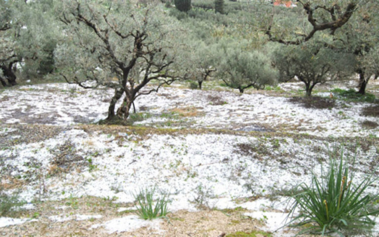 Πύργος: Πρωτοβουλίες και από Περιφέρεια