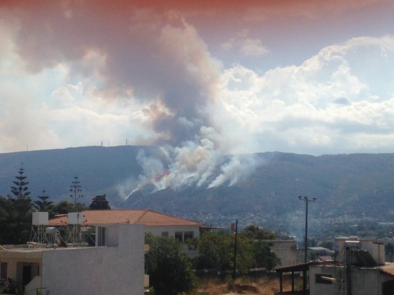 Χανιά: Υπό έλεγχο η πυρκαγιά στη Μαλάξα