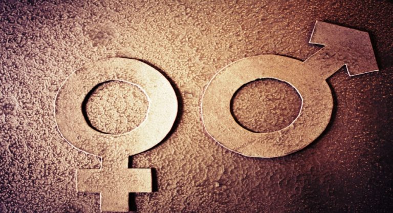 Κοζάνη: Έκθεση με θέμα “Ισότητα των Φύλων”