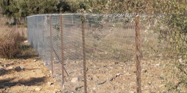 Καταπατημένα πάνω από 100 ακίνητα του Δημοσίου