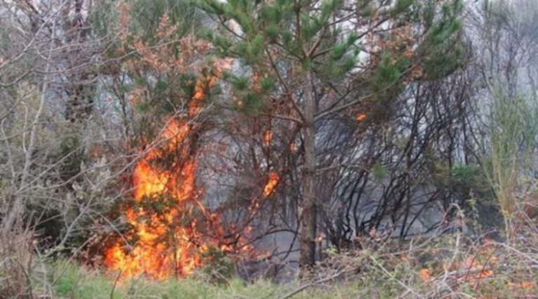 Χανιά: Υψηλός ο κίνδυνος πυρκαγιάς στην Κρήτη