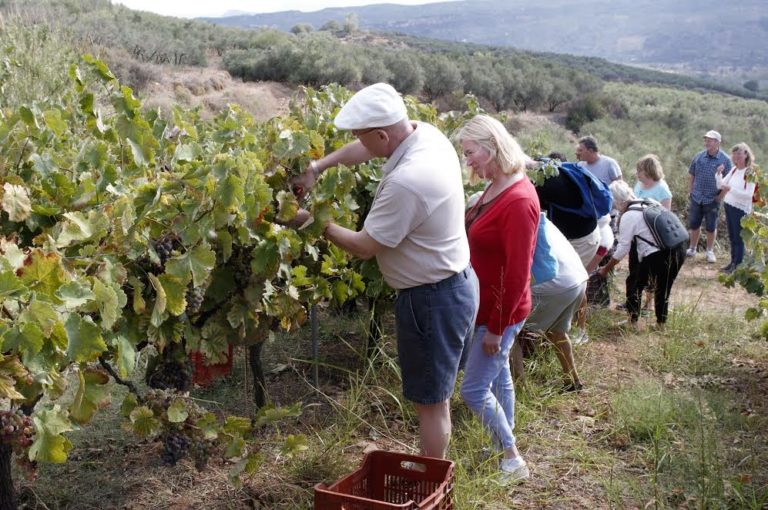 Έναρξη Φεστιβάλ “Γη – Τουρισμός – Πολιτισμός” στο Δήμο Πλατανιά