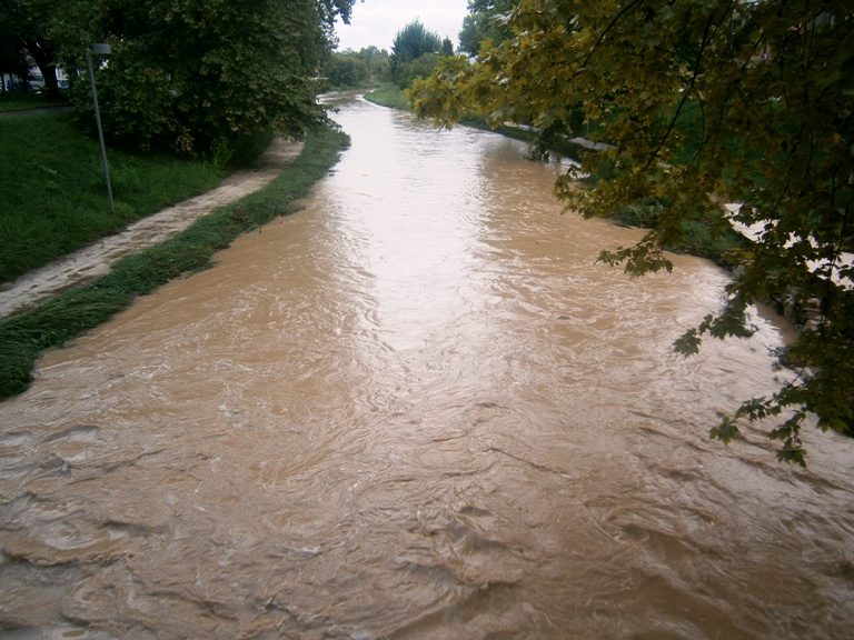 Πύργος: Αυτοψία σε Σοχιά και Βέργα