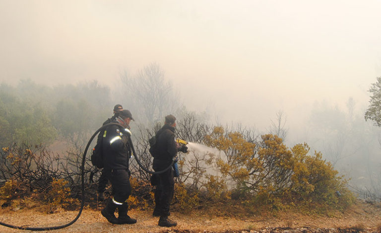 Ζάκυνθος: Μεγάλη πυρκαγιά μεταξύ Κοιλιωμένου και Λαγκαδακίων – “Μέτωπο” και στο Καλαμάκι