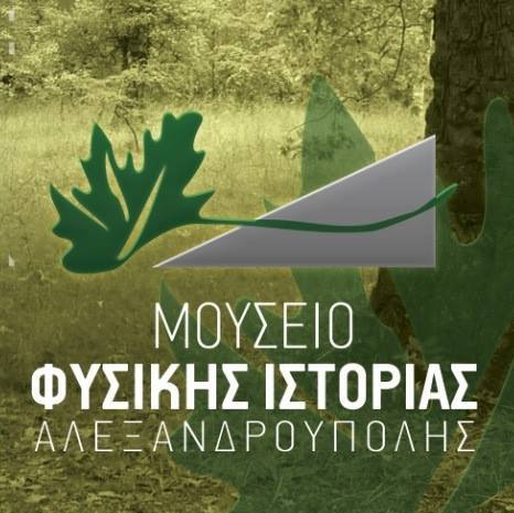 Αλεξανδρούπολη :  Σε αναμονή για το πράσινο φως η ΚΟΙΝ.Σ.ΕΠ  στον οικισμό Μαΐστρος