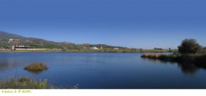 83579-pan2_l-agia_