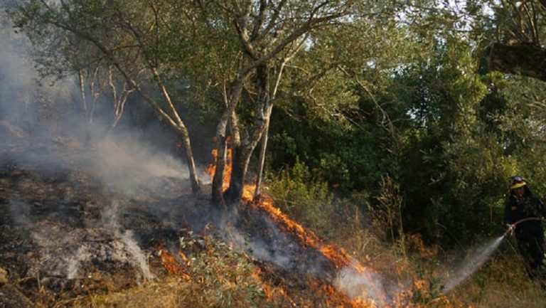 Σε ύφεση η πυρκαγιά στην Άνδρο