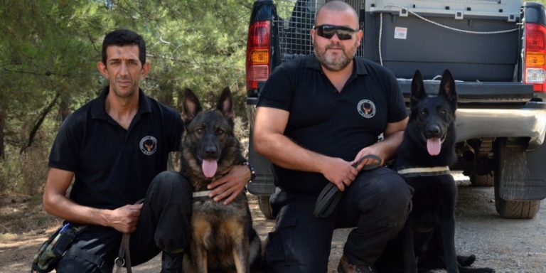Τετράποδοι “ράμπο” για …φόλες