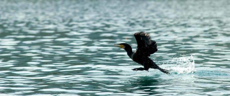 Χανιά: Ημερίδα για το «Ευφυές σύστημα διαχείρισης υδατικών  δικτύων»
