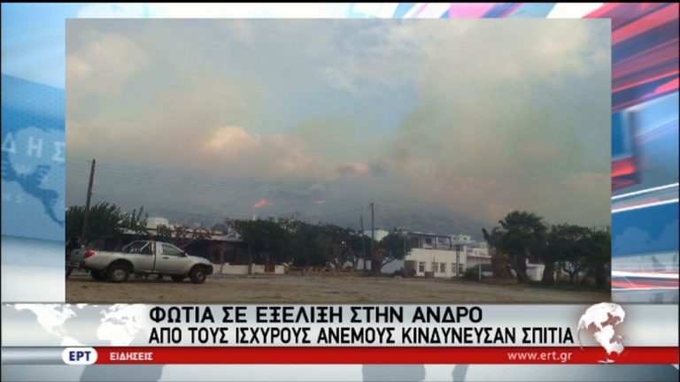 Πυρκαγιά σε δασική έκταση στην Άνδρο – Ενισχύσεις από την Αθήνα