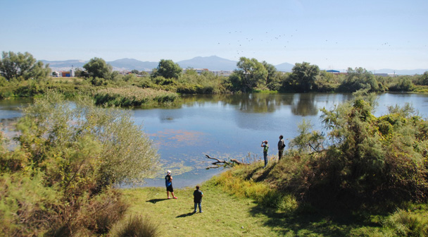 Κάλεσμα για τον καθαρισμό των ακτών του Αξιού από τα σκουπίδια