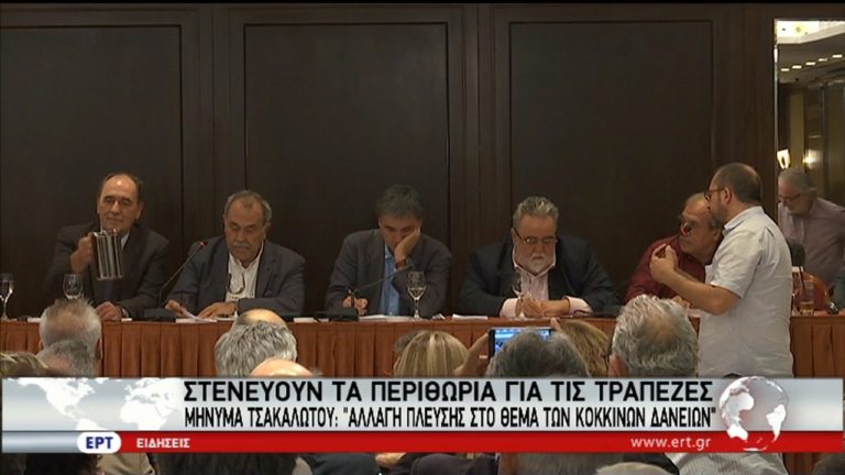 Κόκκινα δάνεια: Στενεύουν τα περιθώρια για τις τράπεζες (video)