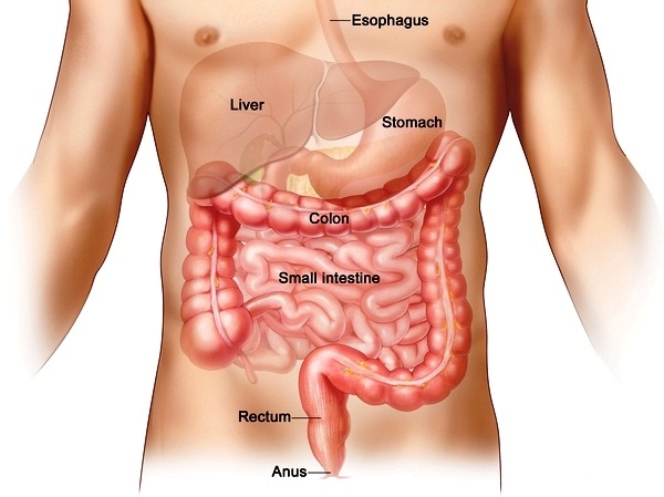 Πύργος:Τα νέα δεδομένα για τη νόσο του εντέρου