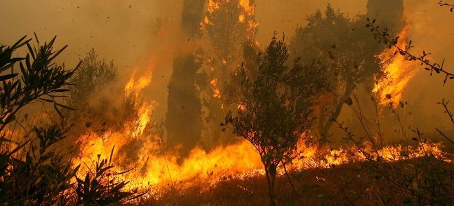 Χανιά: Πυρκαγιά στα Κεραμειά