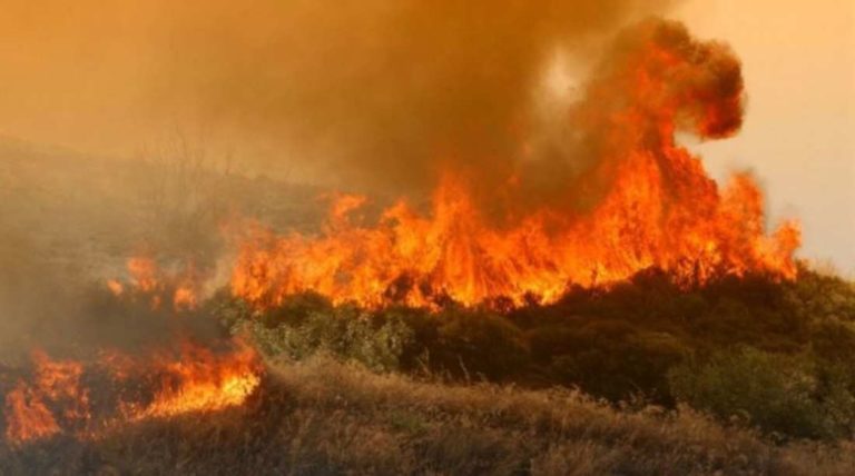 Σε εξέλιξη πυρκαγιά στη Σύρο (video)