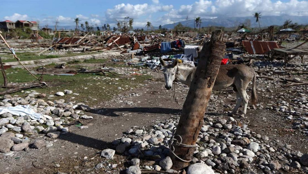 Θερίζει η χολέρα στην Αϊτή – Απαθής η διεθνής κοινότητα  