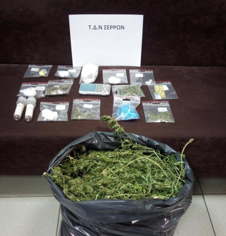 Σέρρες : Με την συνδρομή  αστυνομικού σκύλου εντοπίστηκαν ποσότητες κάνναβης