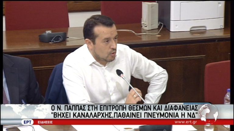 Ν. Παππάς: Νίκη της δημοκρατίας η ολοκλήρωση του διαγωνισμού (video)