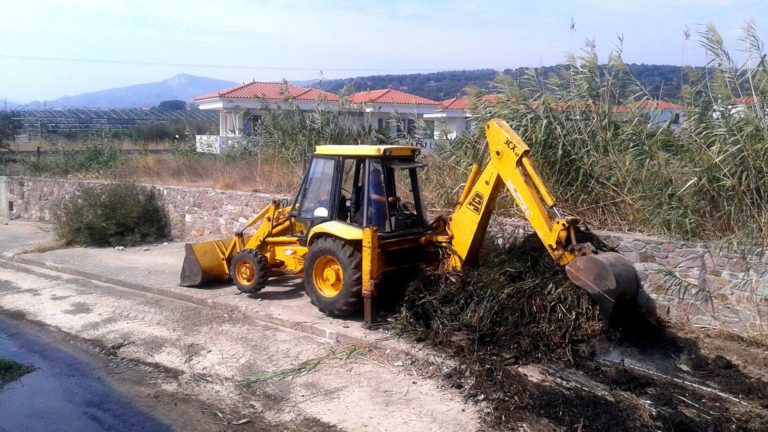 Πύργος:Εργασίες καθαρισμού στο «Δερβίση»