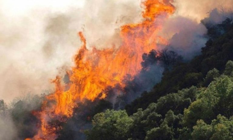 Σε επιφυλακή η περιφέρεια  Πελοποννήσου λόγω πυρκαγιών