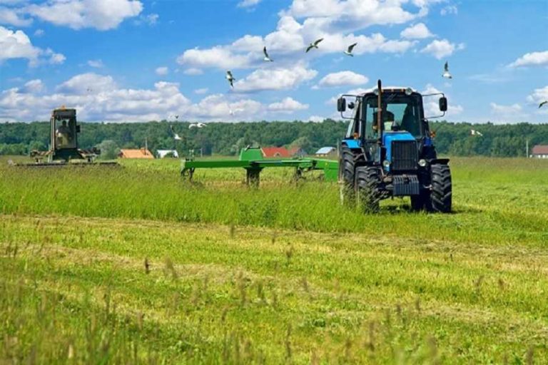 Πρόγραμμα Νέων Αγροτών: Από 17.000 έως 22.000 ευρώ η ενίσχυση