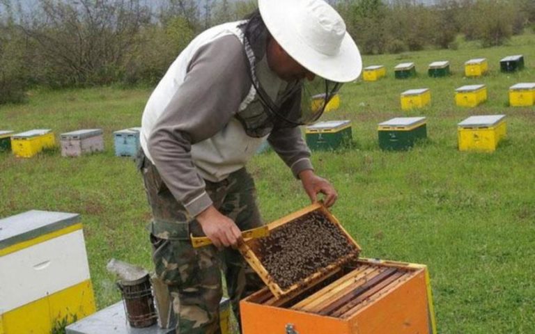 Τρίκαλα: Πληρώνονται 88 μελισσοκόμοι