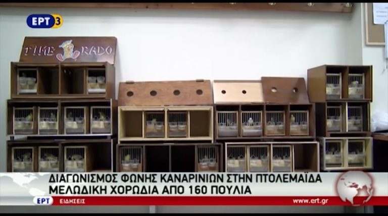 Διαγωνισμός Καναρινιών στην Πτολεμαΐδα