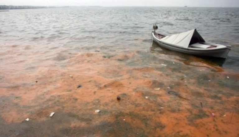 Κοκκίνισαν τα νερά του Θερμαϊκού Κόλπου από το φαινόμενο της ερυθράς παλίρροιας