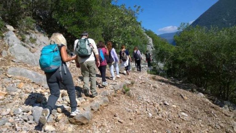 Απαγόρευση κυκλοφορίας σε δάση της Χίου