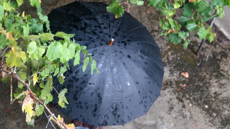 Άστατος καιρός και έκτακτο δελτίο θυελλωδών ανέμων (video)