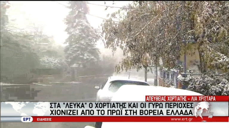 Έπεσαν τα πρώτα χιόνια – Κατάσταση έκτακτης ανάγκης στην Ζάκυνθο (video)
