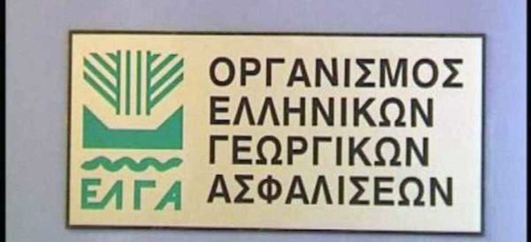 Ο Διοικητής του ΕΛΓΑ στη Μεσσήνη