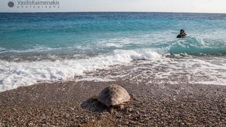 Καλά ταξίδια Λυκούργε