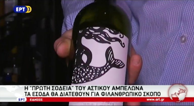 H «Πρώτη Σοδειά» του Αστικού Αμπελώνα(video)