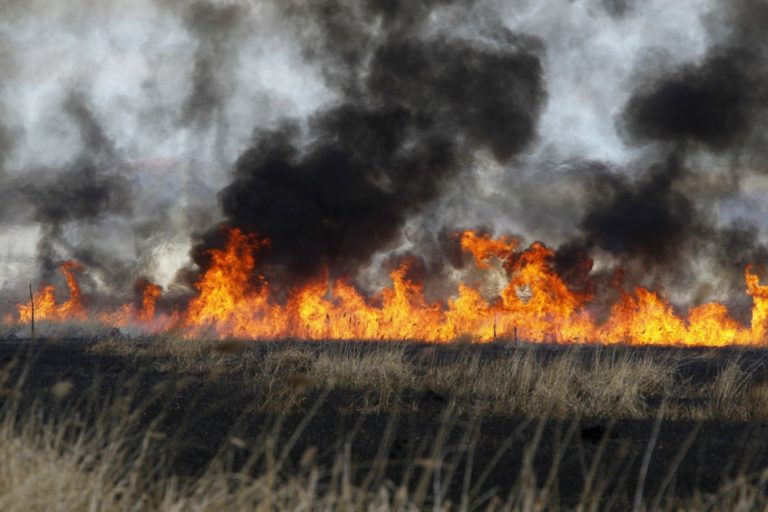 Έβρος: Πολλές πυρκαγιές από καύσεις υπολειμμάτων καλλιεργειών