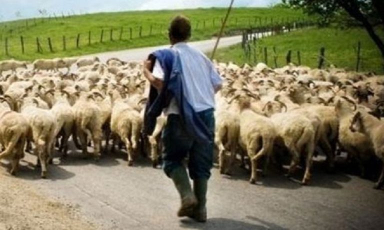 Αμεσα μέτρα στήριξης αγροτών και κτηνοτρόφων ζητά η ΕΟΑΣ