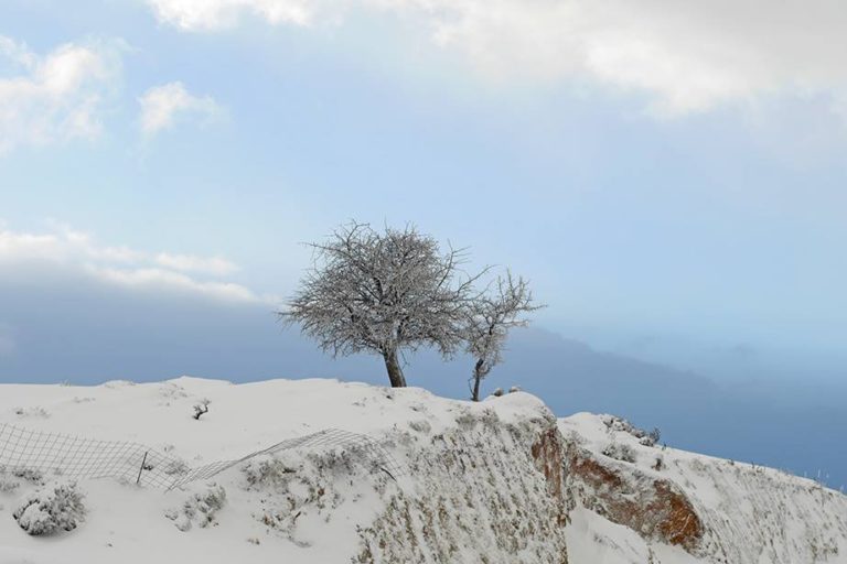 ΕΡΤ Χανίων – Γ. Μαλανδράκης: Πολλά τα προβλήματα που προκάλεσε η κακοκαιρία στο Δήμο Πλατανιά (audio)