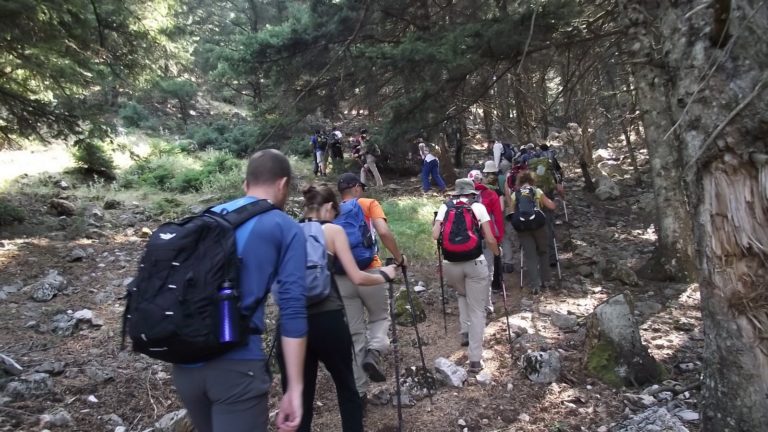 Βόλος: Με ημερίδα και πεζοπορία θα τιμηθεί η παγκόσμια ημέρα Βουνού
