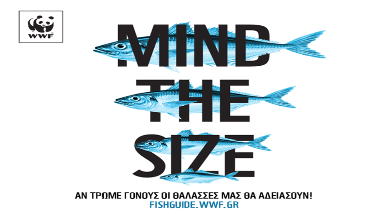WWF: Το 93% των αλιευμάτων της Μεσογείου απειλείται από την υπεραλίευση