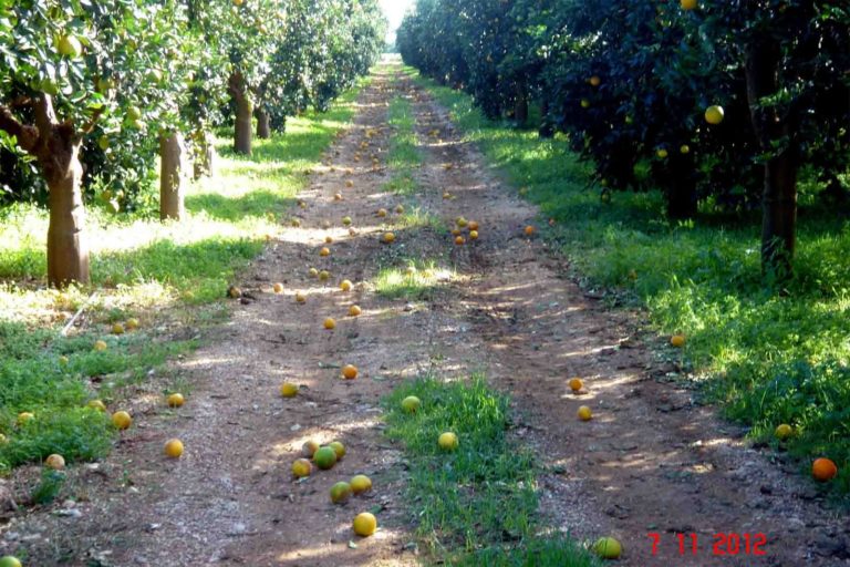 Οικονομικές ενισχύσεις 3,2 εκατ. ευρώ σε 2.748 αγρότες