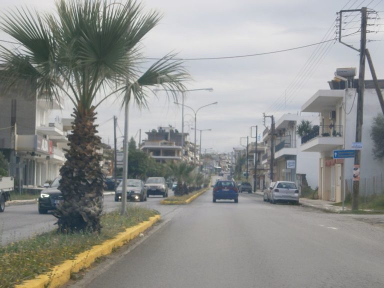 Οι εορταστικές εκδηλώσεις του Δήμου Σπάρτης